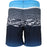 CRUZ Bryan M Knee Boardshorts Boardshorts Print 3472