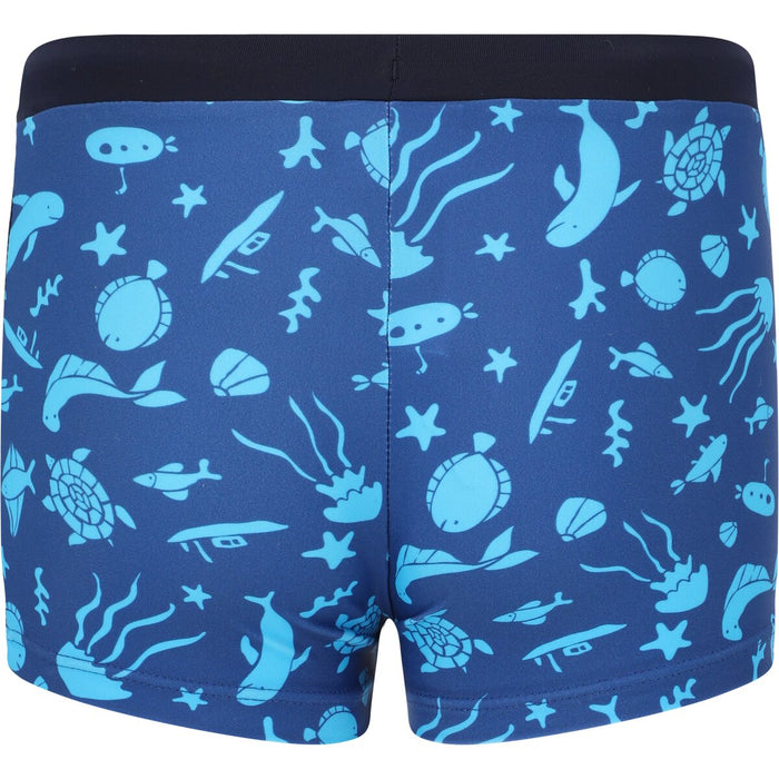 ZIGZAG Buddy Swim Trunks Swimwear Print 3516