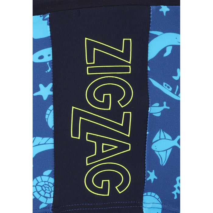 ZIGZAG Buddy Swim Trunks Swimwear Print 3516