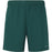 ENDURANCE Kroser M Shorts Shorts 3200 Sea Moss