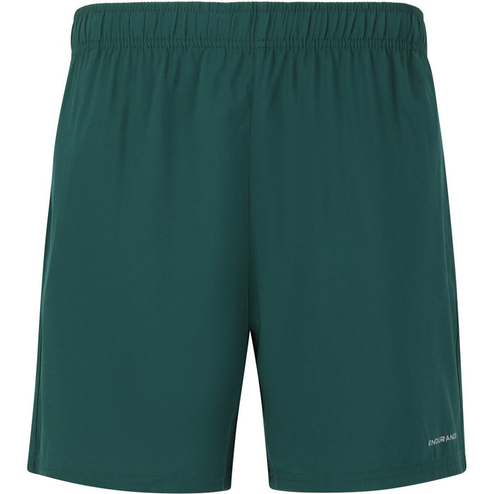 ENDURANCE Kroser M Shorts Shorts 3200 Sea Moss