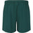 ENDURANCE Kroser M Shorts Shorts 3200 Sea Moss