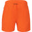 VIRTUS Orvi M Shorts Shorts 5117 Dragon Fire