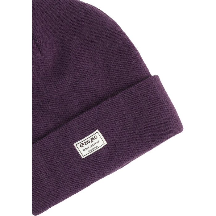 ZIGZAG Rizzo Hat Hoods 4149 Purple Pennant