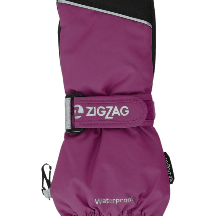 ZIGZAG Shildon WP Mittens Gloves 4078 Dark Purple