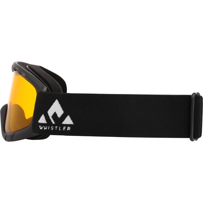 WS300 Jr. Ski Goggle Denmark Sports — Group